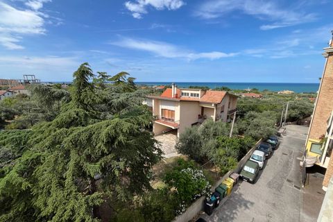 Reihenhaus in Vasto, Chieti, Vasto - € 330.000 | Ref: 4607 - Foto 45