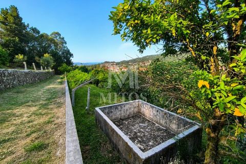 Helårsgrund i Viana do Castelo, Viana do Castelo, Viana do Castelo - € 98.500 | Ref: S255 - foto 1