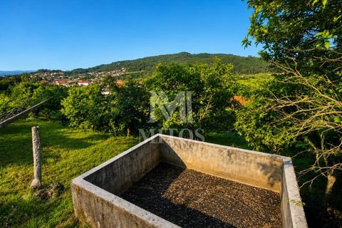 Helårsgrund i Viana do Castelo, Viana do Castelo, Viana do Castelo - € 98.500 | Ref: S255 - foto 2