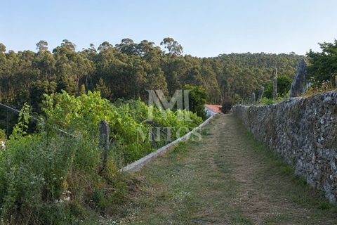 Helårsgrund i Viana do Castelo, Viana do Castelo, Viana do Castelo - € 98.500 | Ref: S255 - foto 14