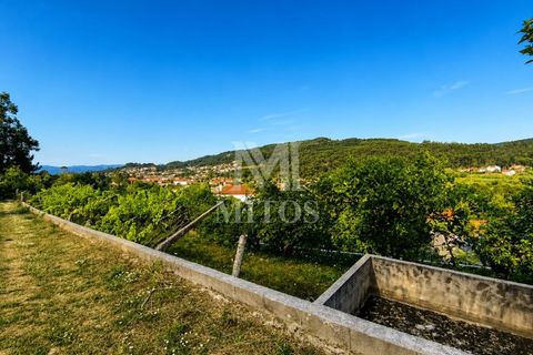 Helårsgrund i Viana do Castelo, Viana do Castelo, Viana do Castelo - € 98.500 | Ref: S255 - foto 15