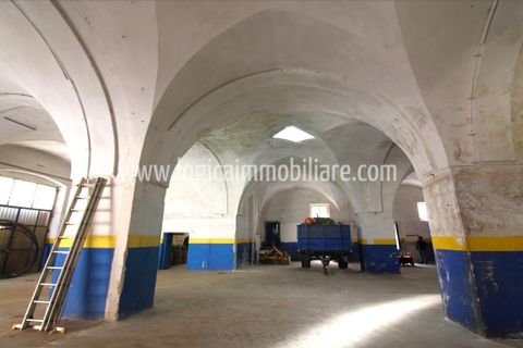 Propriedade comercial em Manduria, Taranto, Manduria - € 240.000 | Ref: LC52 - foto 5