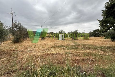 Masia a Colos, Beja, Colos - € 600/mes | Ref: ALG-7373 - foto 11