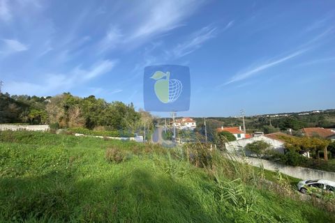 Villa i Caldas da Rainha, Leiria, Caldas da Rainha - € 730.000 | Ref: CAL-217136 - foto 9