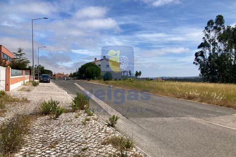 Helårsgrund i Santo Onofre e Serra do Bouro, Leiria, Santo Onofre e Serra do Bouro - € 164.000 | Ref: CAL-217130 - foto 4