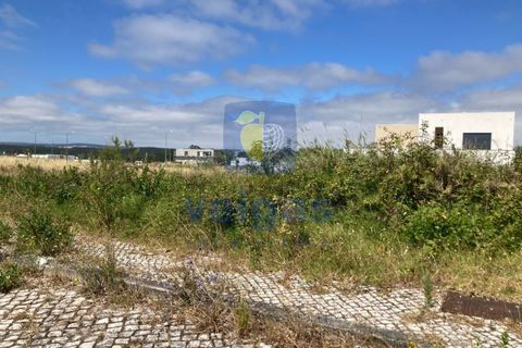 Helårsgrund i Santo Onofre e Serra do Bouro, Leiria, Santo Onofre e Serra do Bouro - € 164.000 | Ref: CAL-217130 - foto 6