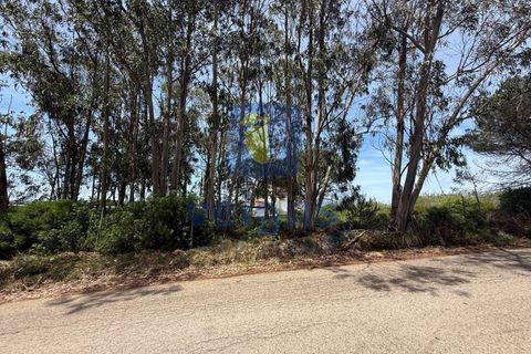 Helårsgrund i Caldas da Rainha, Leiria, Caldas da Rainha - € 140.000 | Ref: CAL-217126 - foto 2