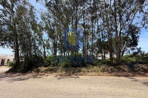 Helårsgrund i Caldas da Rainha, Leiria, Caldas da Rainha - € 140.000 | Ref: CAL-217126 - foto 4