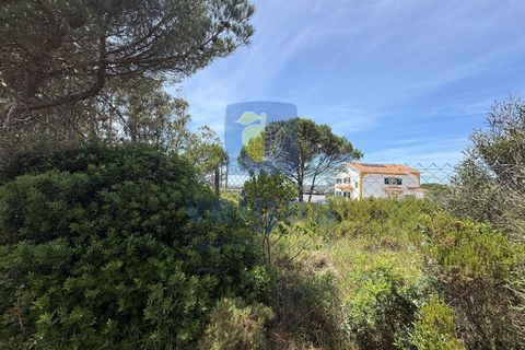 Helårsgrund i Caldas da Rainha, Leiria, Caldas da Rainha - € 140.000 | Ref: CAL-217126 - foto 5