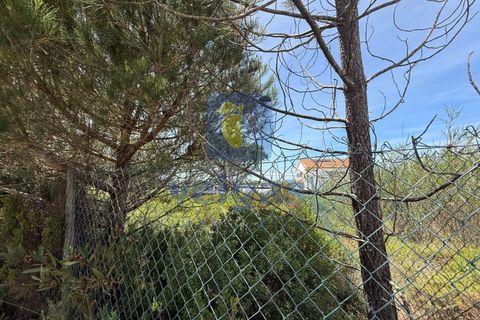 Helårsgrund i Caldas da Rainha, Leiria, Caldas da Rainha - € 140.000 | Ref: CAL-217126 - foto 6