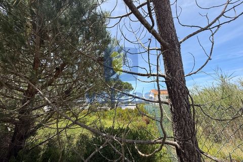 Helårsgrund i Caldas da Rainha, Leiria, Caldas da Rainha - € 140.000 | Ref: CAL-217126 - foto 7