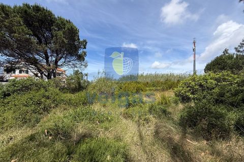 Helårsgrund i Caldas da Rainha, Leiria, Caldas da Rainha - € 140.000 | Ref: CAL-217126 - foto 8
