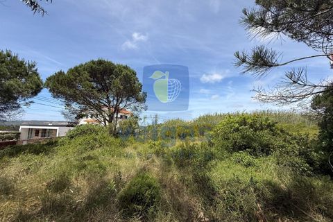 Helårsgrund i Caldas da Rainha, Leiria, Caldas da Rainha - € 140.000 | Ref: CAL-217126 - foto 10