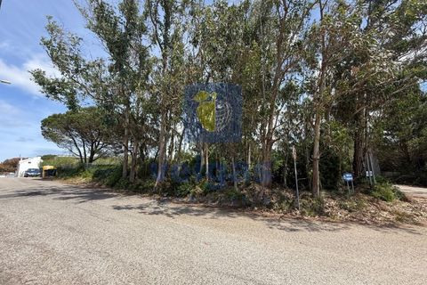 Helårsgrund i Caldas da Rainha, Leiria, Caldas da Rainha - € 140.000 | Ref: CAL-217126 - foto 11