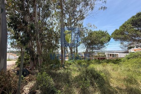 Helårsgrund i Caldas da Rainha, Leiria, Caldas da Rainha - € 140.000 | Ref: CAL-217126 - foto 12