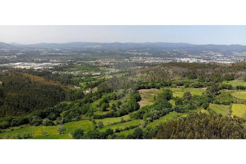 Helårsgrund i Gandra e Taiao, Viana do Castelo, Gandra e Taiao - € 40.000 | Ref: 123331212-112 - foto 4