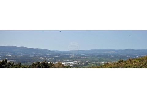 Helårsgrund i Gandra e Taiao, Viana do Castelo, Gandra e Taiao - € 40.000 | Ref: 123331212-112 - foto 5