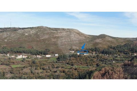 Helårsgrund i Gandra e Taiao, Viana do Castelo, Gandra e Taiao - € 40.000 | Ref: 123331212-112 - foto 8