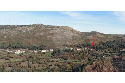 Tomt i Gandra e Taiao, Viana do Castelo, Gandra e Taiao - € 30 000 | Ref: 123331212-111 - foto 3
