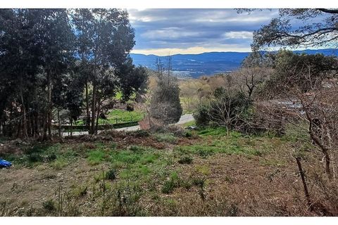 Tomt i Gandra e Taiao, Viana do Castelo, Gandra e Taiao - € 30 000 | Ref: 123331212-111 - foto 4