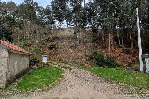 Tomt i Gandra e Taiao, Viana do Castelo, Gandra e Taiao - € 30 000 | Ref: 123331212-111 - foto 5