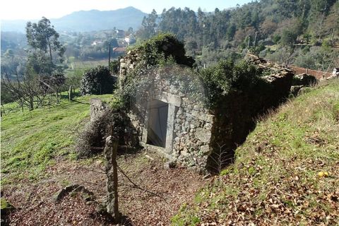 Villa i Viana do Castelo, Viana do Castelo, Viana do Castelo - € 89.000 | Ref: 123731008-456 - foto 4