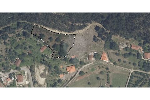 Villa i Viana do Castelo, Viana do Castelo, Viana do Castelo - € 89.000 | Ref: 123731008-456 - foto 6