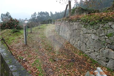 Villa i Viana do Castelo, Viana do Castelo, Viana do Castelo - € 89.000 | Ref: 123731008-456 - foto 7