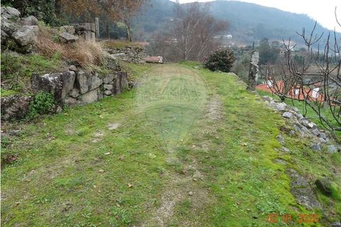 Villa i Viana do Castelo, Viana do Castelo, Viana do Castelo - € 89.000 | Ref: 123731008-456 - foto 9
