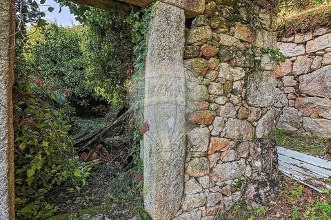 Villa i Viana do Castelo, Viana do Castelo, Viana do Castelo - € 89.000 | Ref: 123731008-456 - foto 10