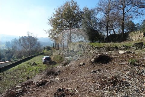 Villa i Viana do Castelo, Viana do Castelo, Viana do Castelo - € 89.000 | Ref: 123731008-456 - foto 13