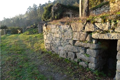 Villa i Viana do Castelo, Viana do Castelo, Viana do Castelo - € 89.000 | Ref: 123731008-456 - foto 14