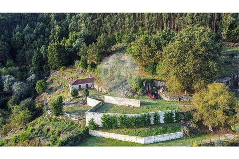 Villa i Viana do Castelo, Viana do Castelo, Viana do Castelo - € 89.000 | Ref: 123731008-456 - foto 16