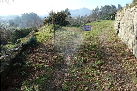 Villa i Viana do Castelo, Viana do Castelo, Viana do Castelo - € 89.000 | Ref: 123731008-456 - foto 17