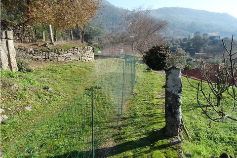 Villa i Viana do Castelo, Viana do Castelo, Viana do Castelo - € 89.000 | Ref: 123731008-456 - foto 20
