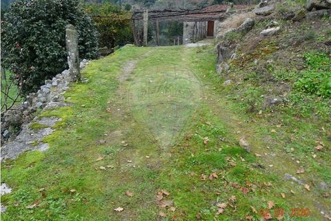Villa i Viana do Castelo, Viana do Castelo, Viana do Castelo - € 89.000 | Ref: 123731008-456 - foto 22