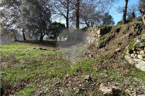 Villa i Viana do Castelo, Viana do Castelo, Viana do Castelo - € 89.000 | Ref: 123731008-456 - foto 24