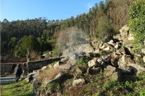 Villa i Viana do Castelo, Viana do Castelo, Viana do Castelo - € 89.000 | Ref: 123731008-456 - foto 25