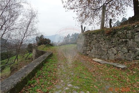 Villa i Viana do Castelo, Viana do Castelo, Viana do Castelo - € 89.000 | Ref: 123731008-456 - foto 26