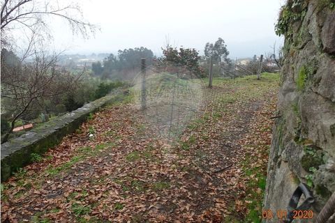 Villa i Viana do Castelo, Viana do Castelo, Viana do Castelo - € 89.000 | Ref: 123731008-456 - foto 27