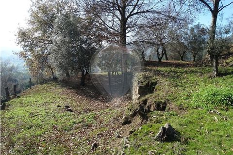 Villa i Viana do Castelo, Viana do Castelo, Viana do Castelo - € 89.000 | Ref: 123731008-456 - foto 30