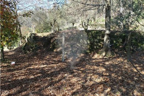 Villa i Viana do Castelo, Viana do Castelo, Viana do Castelo - € 89.000 | Ref: 123731008-456 - foto 31