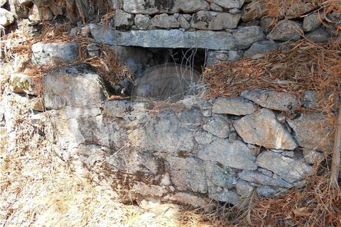 Villa i Viana do Castelo, Viana do Castelo, Viana do Castelo - € 89.000 | Ref: 123731008-456 - foto 32