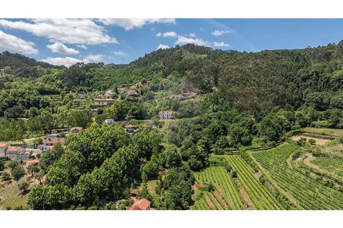 Villa i Celorico de Basto, Braga, Celorico de Basto - € 99.000 | Ref: 126221008-78 - foto 2