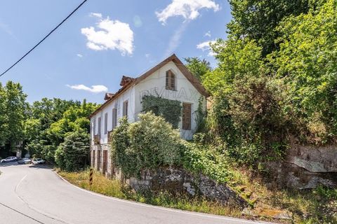 Villa i Celorico de Basto, Braga, Celorico de Basto - € 99.000 | Ref: 126221008-78 - foto 6