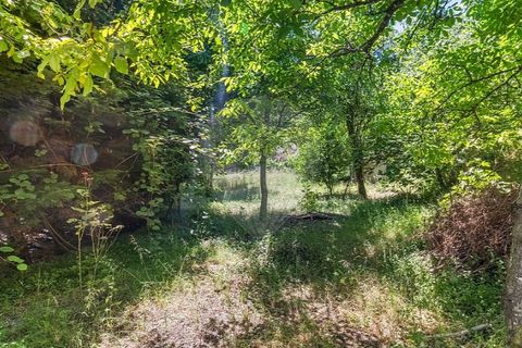 Villa i Celorico de Basto, Braga, Celorico de Basto - € 99.000 | Ref: 126221008-78 - foto 20