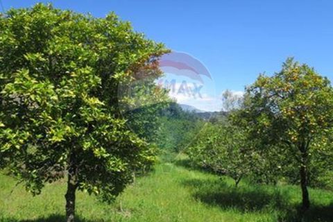 Villa i Celorico de Basto, Braga, Celorico de Basto - € 99.000 | Ref: 126221008-78 - foto 22