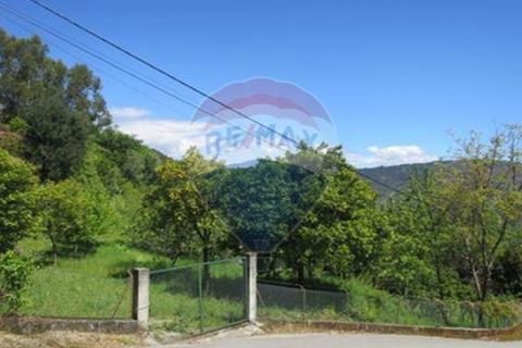 Villa i Celorico de Basto, Braga, Celorico de Basto - € 99.000 | Ref: 126221008-78 - foto 23