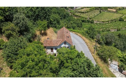 Villa i Celorico de Basto, Braga, Celorico de Basto - € 99.000 | Ref: 126221008-78 - foto 24