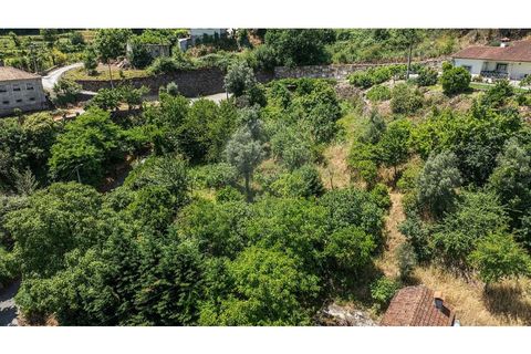 Villa i Celorico de Basto, Braga, Celorico de Basto - € 99.000 | Ref: 126221008-78 - foto 25
